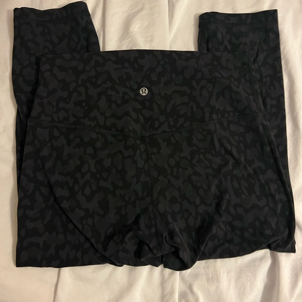 Leopard Align